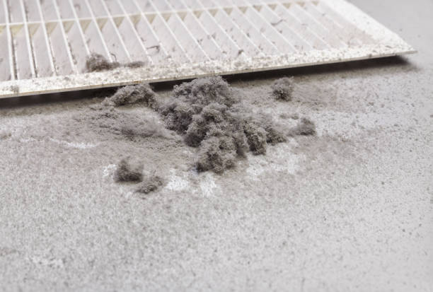 Best Ventilation Cleaning Services  in Odon, IN