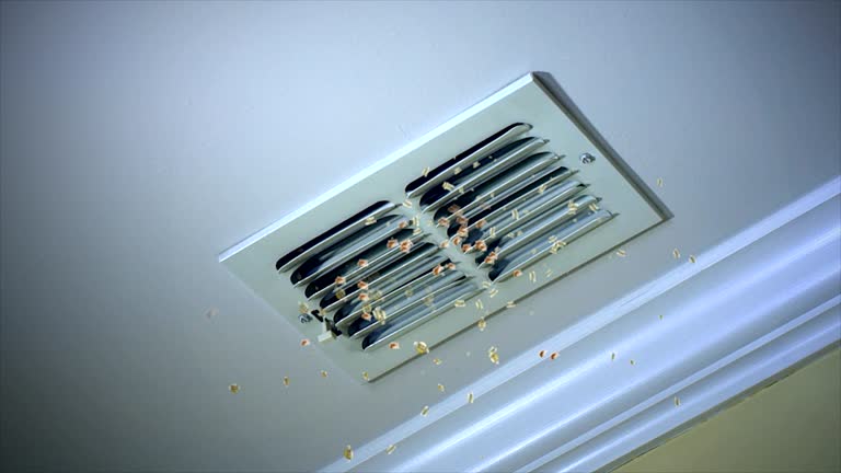 Best Air Duct Cleaning Cost  in Odon, IN