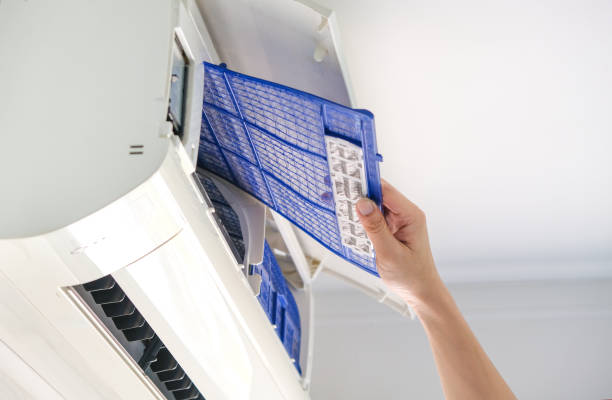 Best Professional Duct Cleaning Services  in Odon, IN